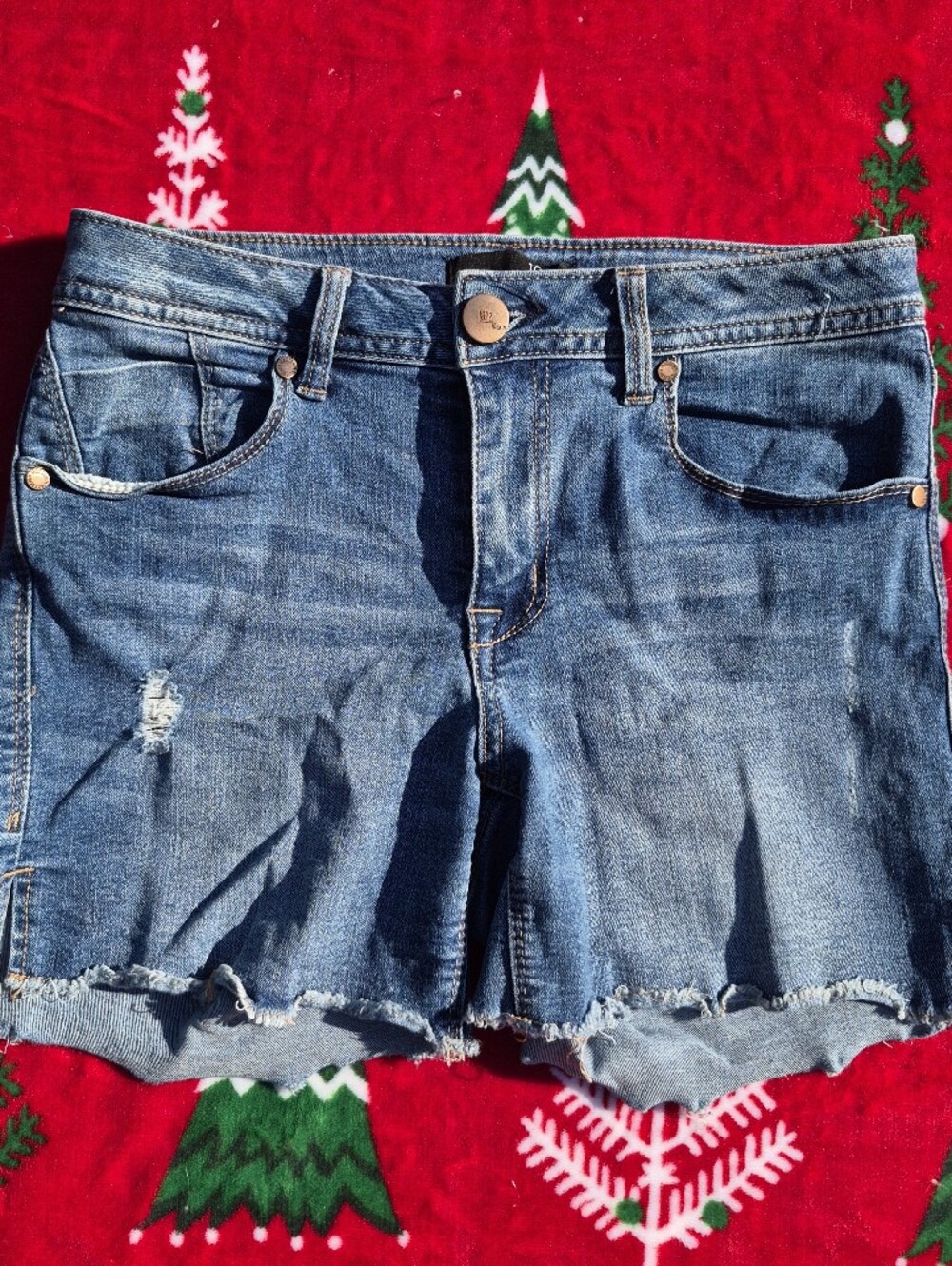 Denim Frayed Hem Women’s Shorts - Blue